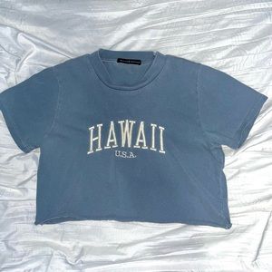 Brandy Melville Hawaii Crop Tee